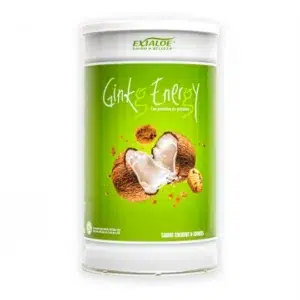 Batido Ginkg Energy, sabor Coco & Cookies